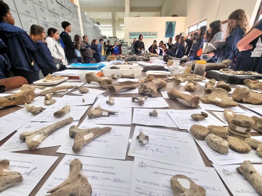 Teoria e prática na eletiva de Arqueologia - Colégio Santa Maria Minas